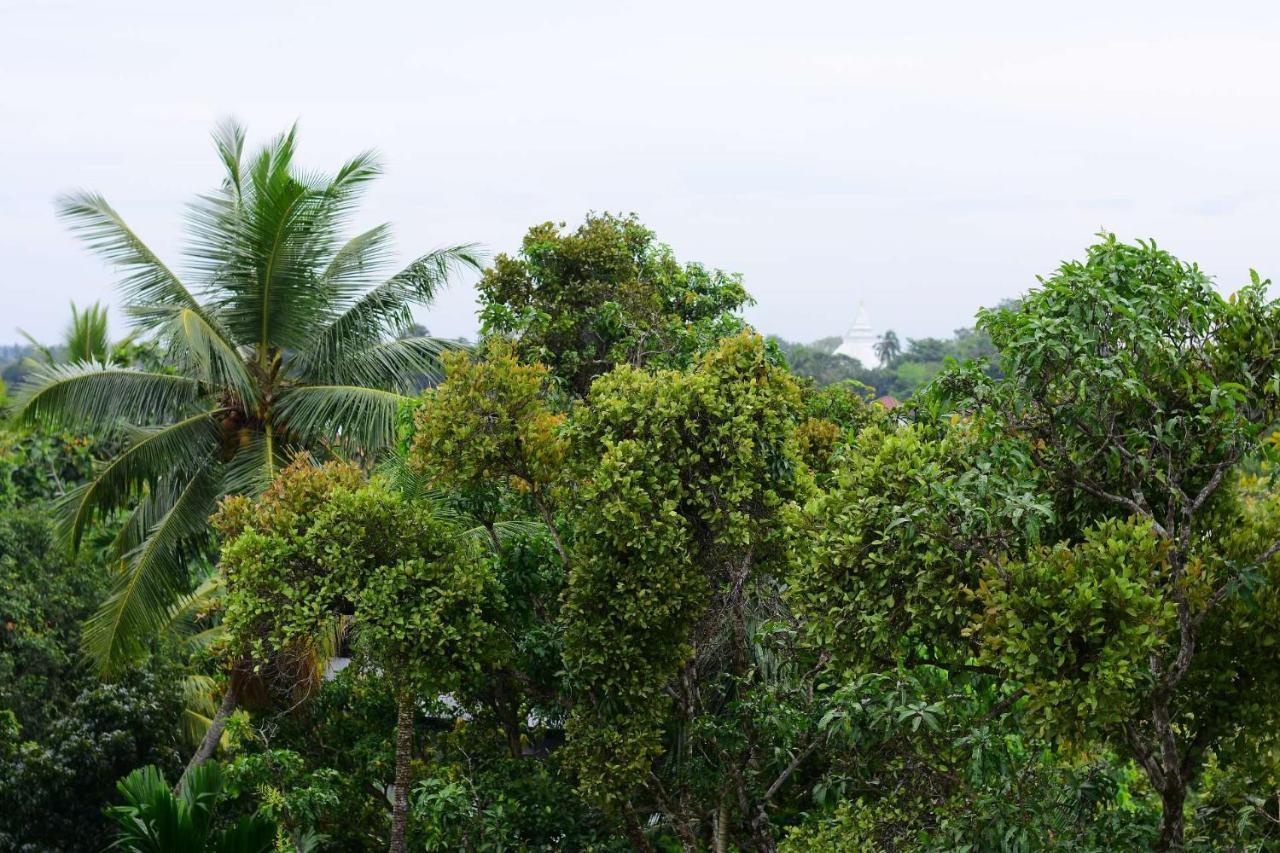 Heritage Eco Resort Kelaniya Esterno foto