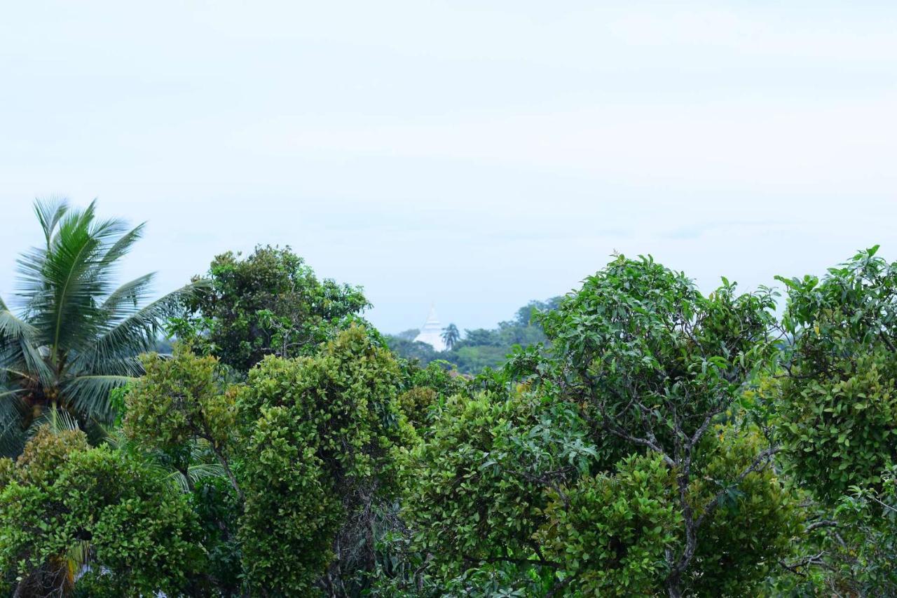 Heritage Eco Resort Kelaniya Esterno foto
