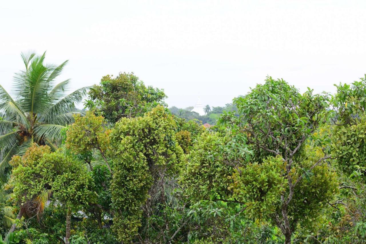 Heritage Eco Resort Kelaniya Esterno foto